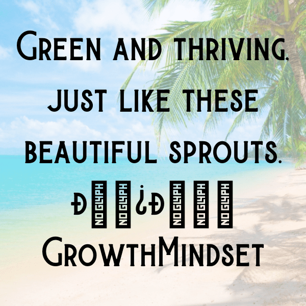 252+ Bok Choy Sprouts Captions For Instagram In 2025 6 Bok Choy Sprouts Captions Photo For Instagram-heRSs1