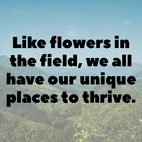 200+ Borage Captions For Instagram In 2025 8 Borage Captions Image For Instagram-d7cq7A