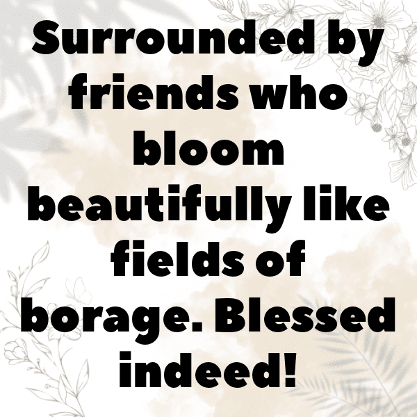 200+ Borage Captions For Instagram In 2025 7 Borage Captions Photo For Instagram-H1jBN9