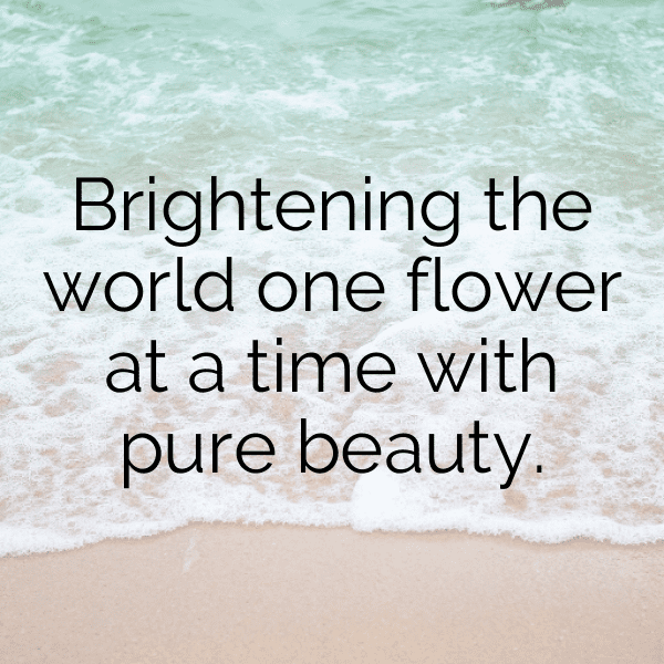 200+ Borage Captions For Instagram In 2025 9 Borage Captions Photo For Instagram-Hi2Iir