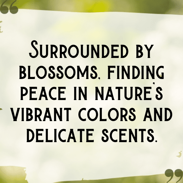 200+ Borage Captions For Instagram In 2025 3 Borage Captions Photo For Instagram-KzbMq6