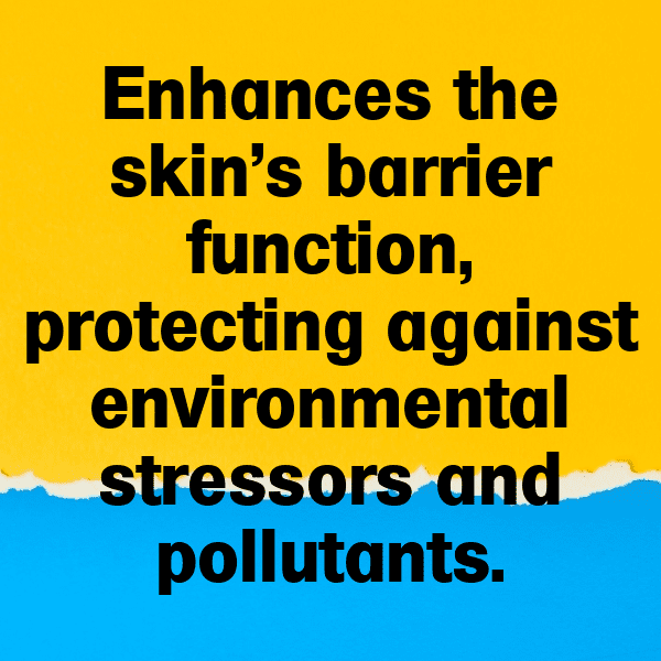 200+ Borage Captions For Instagram In 2025 12 Borage Captions Photo For Instagram-mY8ior