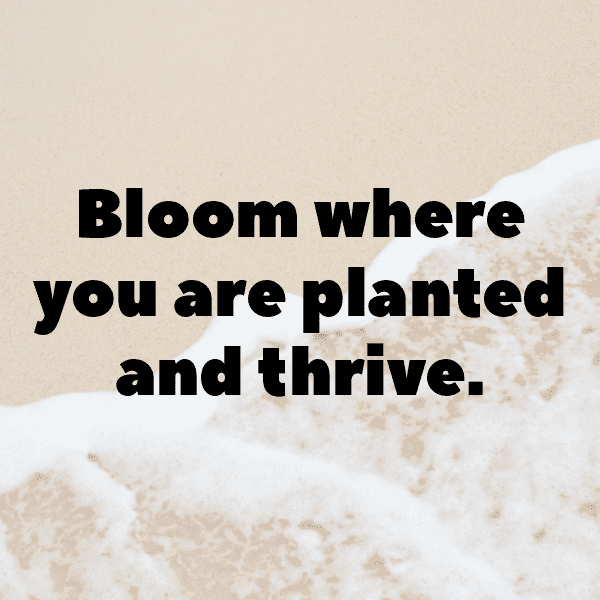 200+ Borage Captions For Instagram In 2025 10 Borage Captions Photo For Instagram-NDTbk1