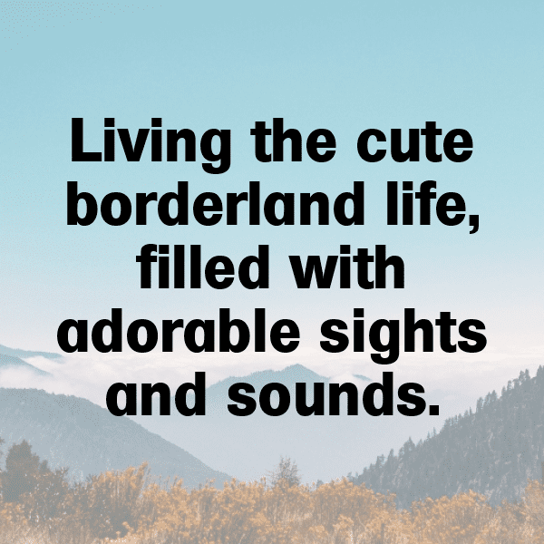 Borderlands Captions Photo for Instagram-9jTc0z