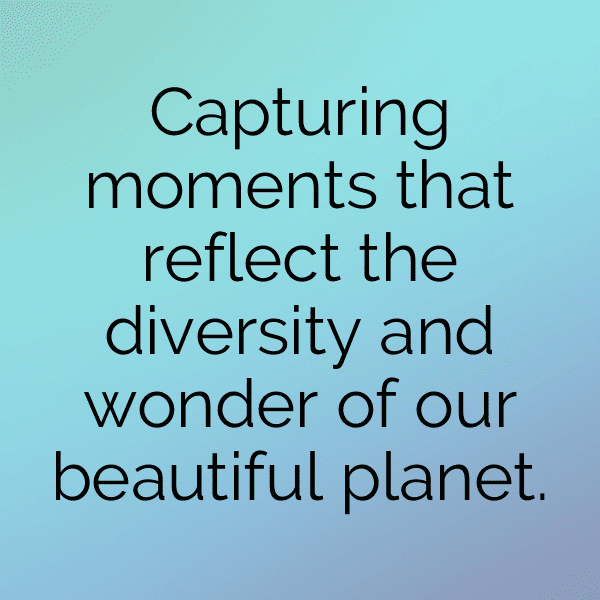 Bosnia and Herzegovina Captions Image For Instagram-dPiTp0