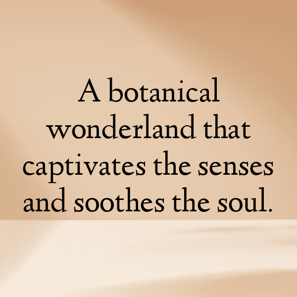 Botanical Garden Captions Photo for Instagram-g6vHoe