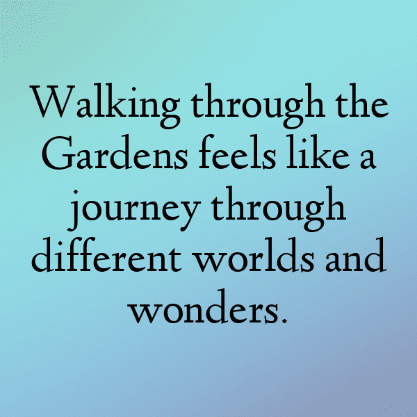 Botanical Garden Captions Photo for Instagram-NgZ7Qs