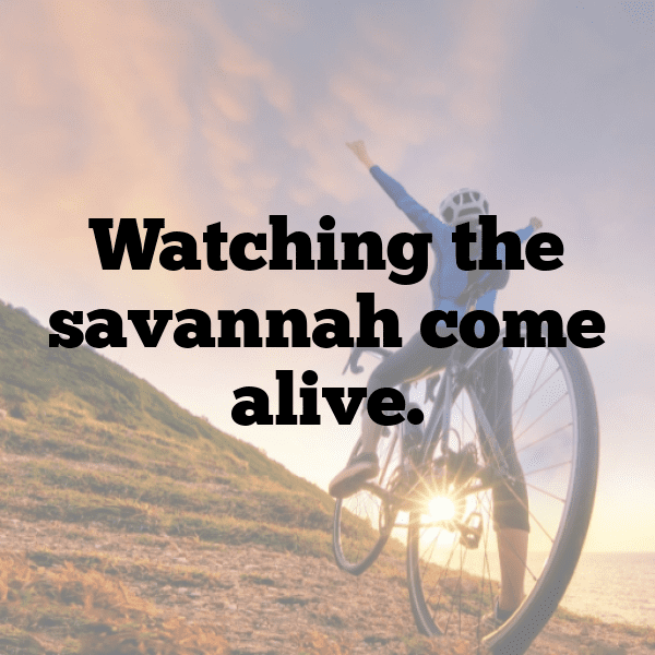 347+ Botswana Captions For Instagram (Short, Trending & Viral) 10 Botswana Captions Image For Instagram-TiKTxF