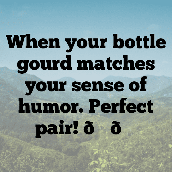 Bottle Gourd Captions Photo For Instagram-uUr5UU