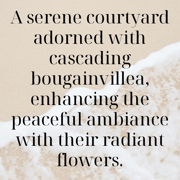 Bougainvillea Captions Image For Instagram-74pKVt