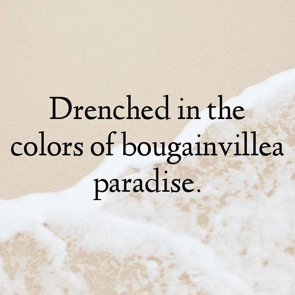 Bougainvillea Captions Image For Instagram-DRcgzx