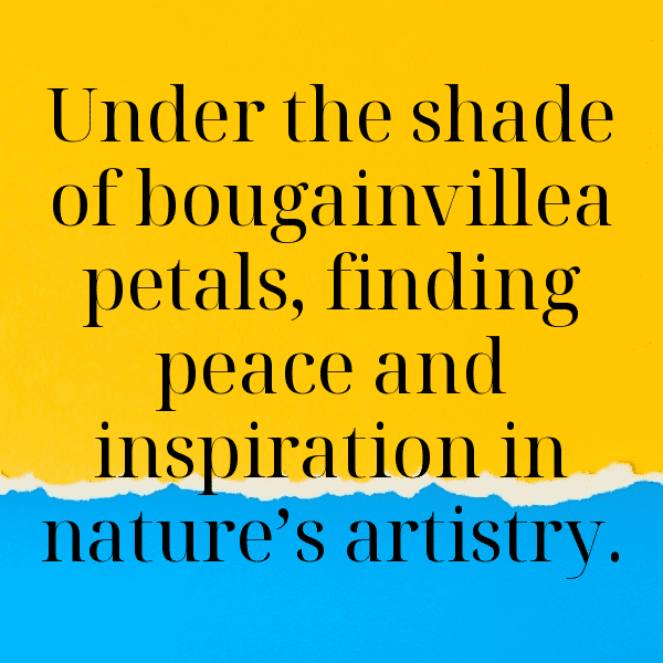 Bougainvillea Captions Photo For Instagram-BEdS5V
