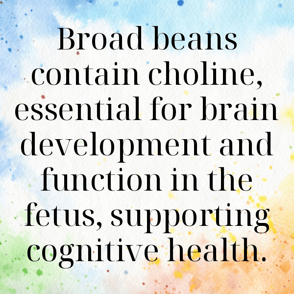 Broad Bean Captions Photo For Instagram-YogALk