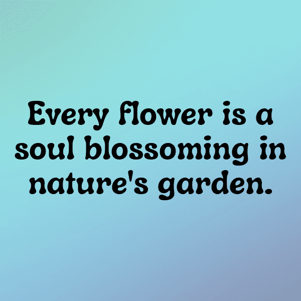 Broadleaf Arrowhead Captions Image For Instagram-9PaytM