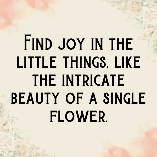 Broadleaf Arrowhead Captions Image For Instagram-LzZBhc