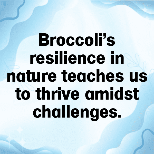 Broccoli Captions Photo For Instagram-wTgbpA