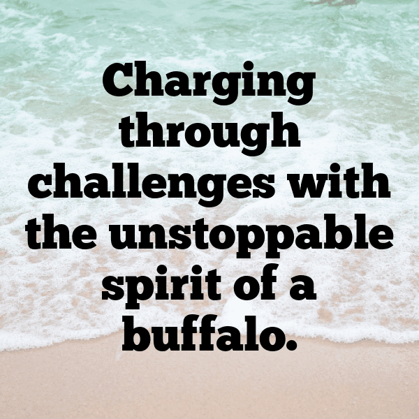 Buffalo Captions Image For Instagram-7OByUU