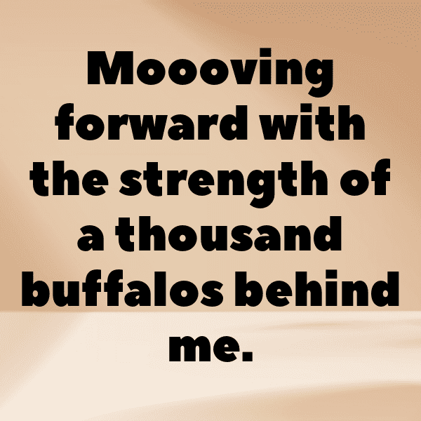 Buffalo Captions Photo For Instagram-tPodpr