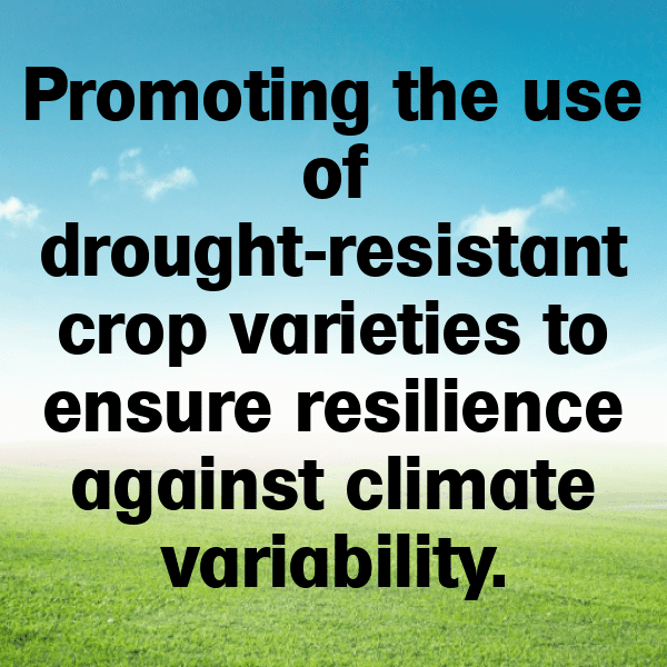 267+ Burundi Captions For Instagram (Best, Funny & Short) 4 Burundi Captions Photo For Instagram-MOvbvz