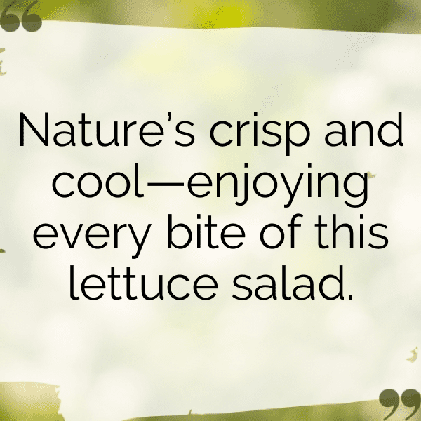 Butter Lettuce Captions Image For Instagram-mEDI8E