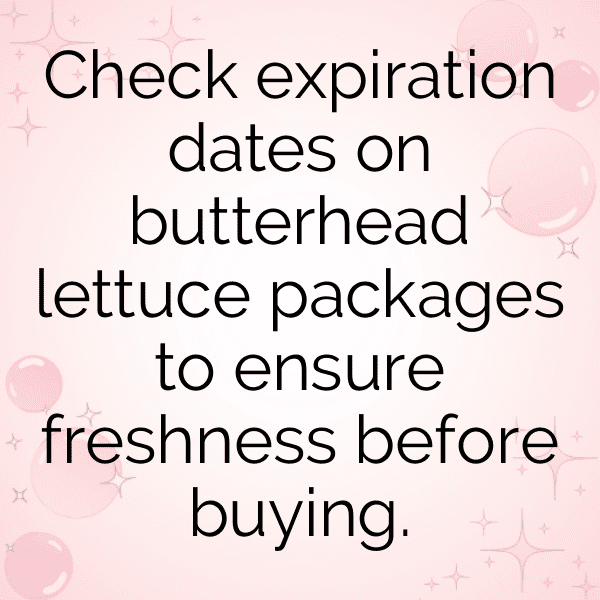 Butter Lettuce Captions Photo For Instagram-qJnyF8