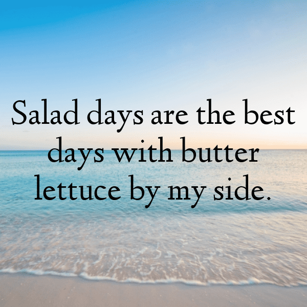 Butter Lettuce Captions Photo For Instagram-vfbO0e