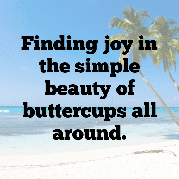 317+ Buttercup Captions For Instagram (Short, Trending & Viral) 3 Buttercup Captions Image For Instagram-746Sn2