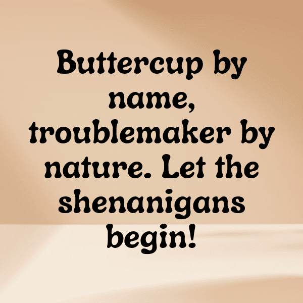 317+ Buttercup Captions For Instagram (Short, Trending & Viral) 5 Buttercup Captions Image For Instagram-qw7xoG