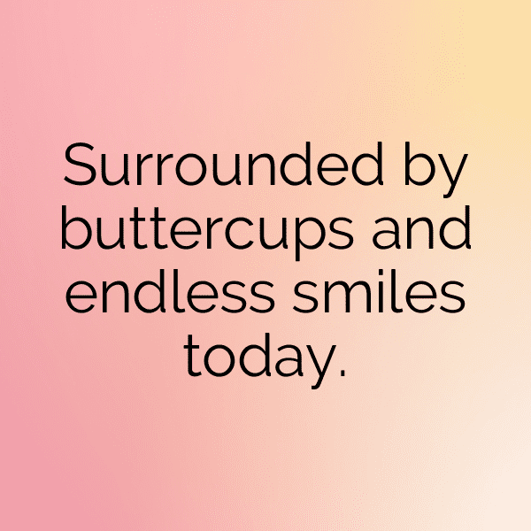 317+ Buttercup Captions For Instagram (Short, Trending & Viral) 4 Buttercup Captions Photo For Instagram-Ku6U1K