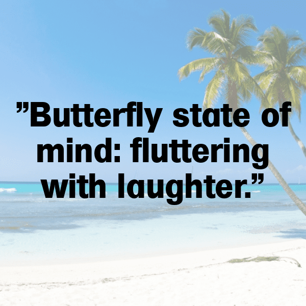 Butterfly Captions Image For Instagram-IrkDh3