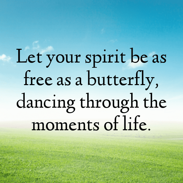 Butterfly Captions Image For Instagram-lqDINF