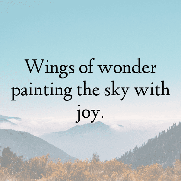 Butterfly Captions Image For Instagram-MXJMH2