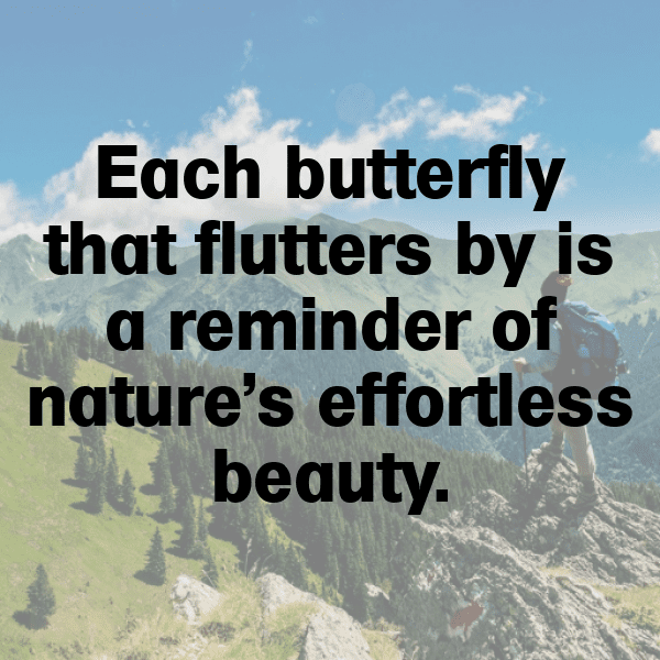 Butterfly Captions Image For Instagram-mxW4RN