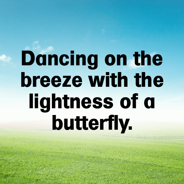 Butterfly Captions Image For Instagram-oje0sl