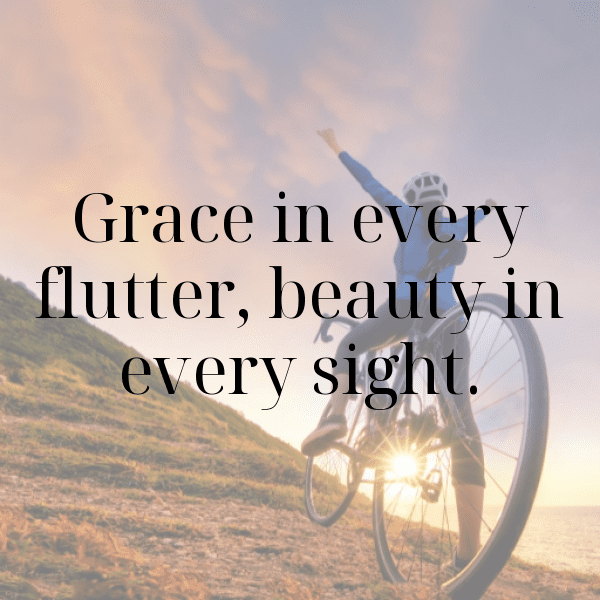 Butterfly Captions Image For Instagram-UVuf17