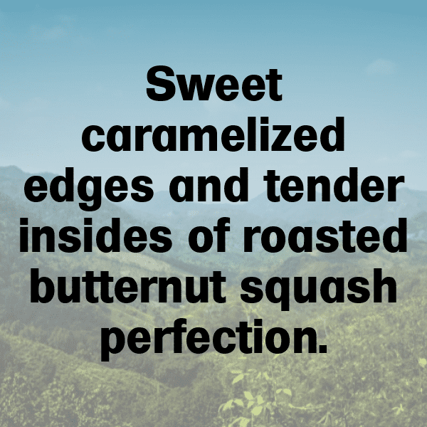 275+ Butternut Squash Captions For Instagram (Short, Trending & Viral) 5 Butternut Squash Captions Image For Instagram-TriKwe