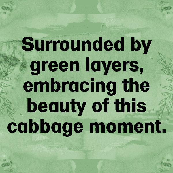 258+ Cabbage Captions For Instagram (Trending, Funny & Top) 9 Cabbage Captions Image For Instagram-hYYj2x