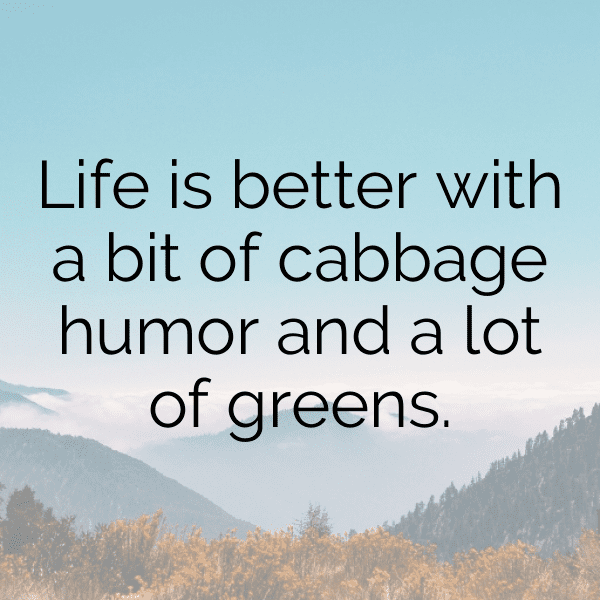 258+ Cabbage Captions For Instagram (Trending, Funny & Top) 6 Cabbage Captions Image For Instagram-mCOLdE
