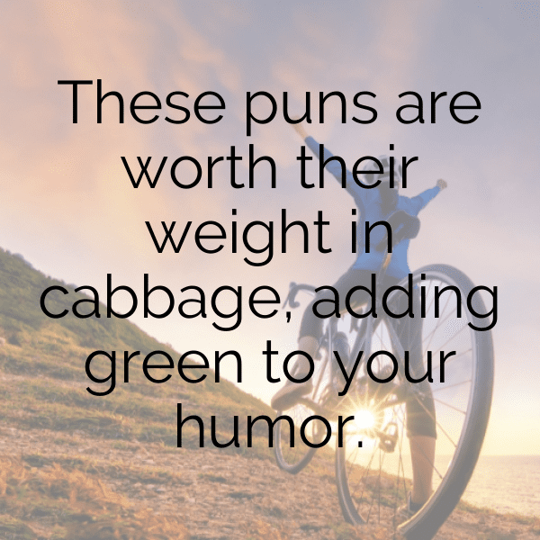 258+ Cabbage Captions For Instagram (Trending, Funny & Top) 4 Cabbage Captions Image For Instagram-MG4Dho