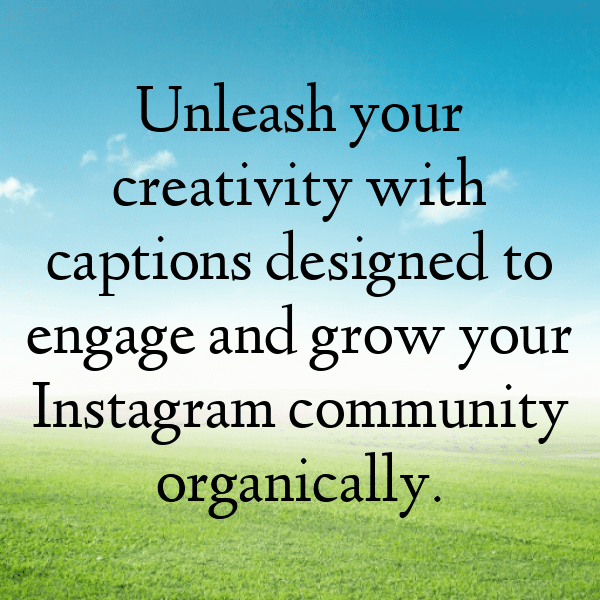 258+ Cabbage Captions For Instagram (Trending, Funny & Top) 15 Cabbage Captions Photo For Instagram-ydWBKx