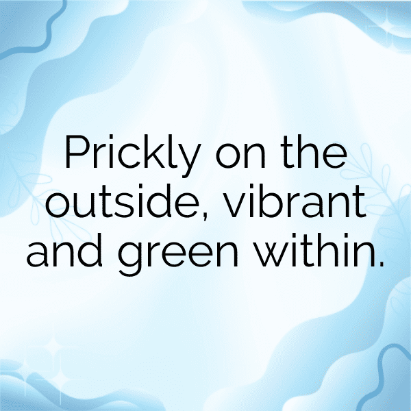 231+ Cactus Leaf Captions For Instagram (Trending, Funny & Top) 8 Cactus Leaf Captions Image For Instagram-pxZuqq