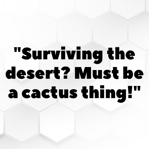 231+ Cactus Leaf Captions For Instagram (Trending, Funny & Top) 10 Cactus Leaf Captions Image For Instagram-Tod32s