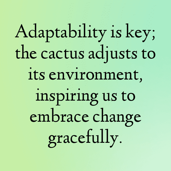 231+ Cactus Leaf Captions For Instagram (Trending, Funny & Top) 3 Cactus Leaf Captions Photo For Instagram-tqGCtZ