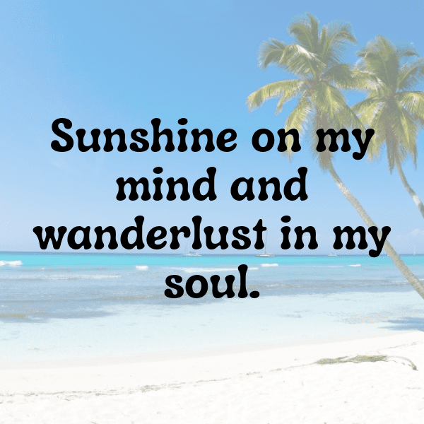 231+ Cactus Leaf Captions For Instagram (Trending, Funny & Top) 13 Cactus Leaf Captions Photo For Instagram-Uw4z1C