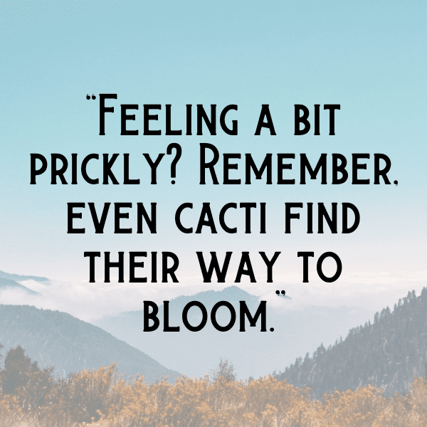 231+ Cactus Leaf Captions For Instagram (Trending, Funny & Top) 9 Cactus Leaf Captions Photo For Instagram-y9wQsz