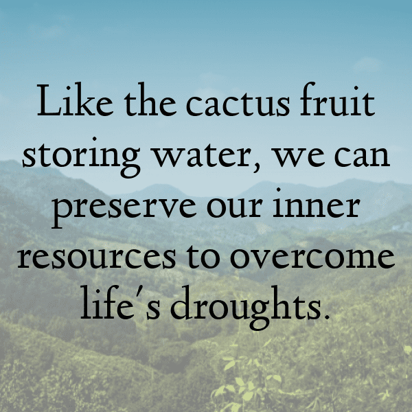 Cactus Pear Captions Image For Instagram-aC8ngO