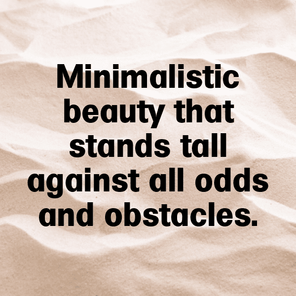 Cactus Pear Captions Photo For Instagram-vEnPw4