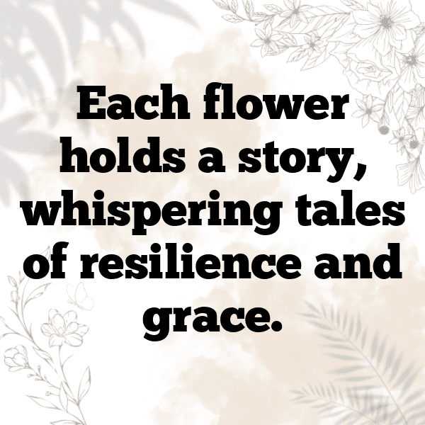 248+ Calendula Captions For Instagram In 2025 10 Calendula Captions Image For Instagram-yHAKNe