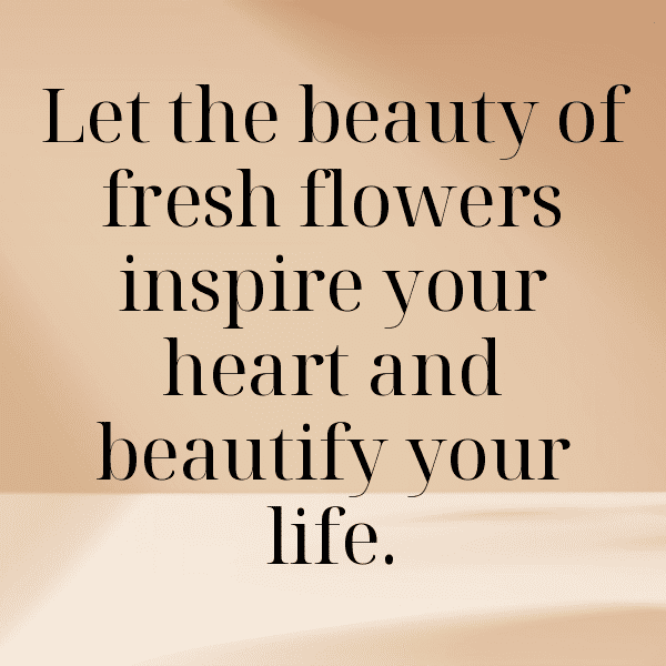 248+ Calendula Captions For Instagram In 2025 9 Calendula Captions Photo For Instagram-6bqOYW