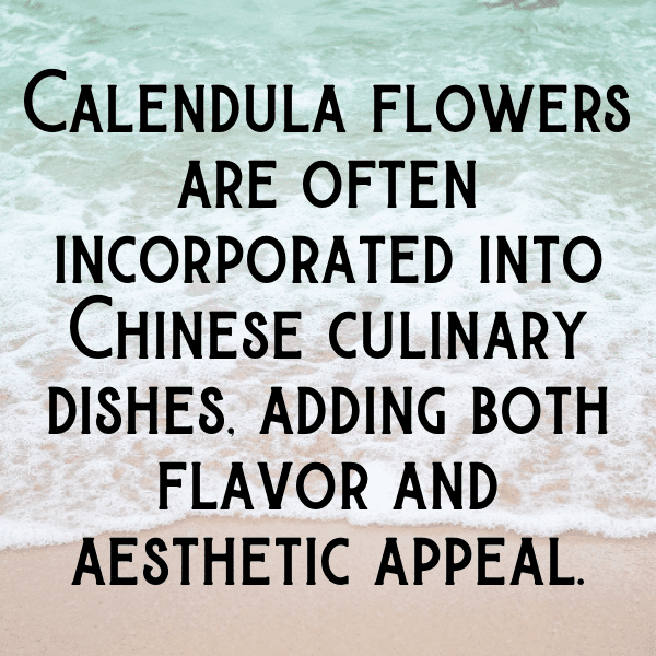 248+ Calendula Captions For Instagram In 2025 12 Calendula Captions Photo For Instagram-I6Ov1s